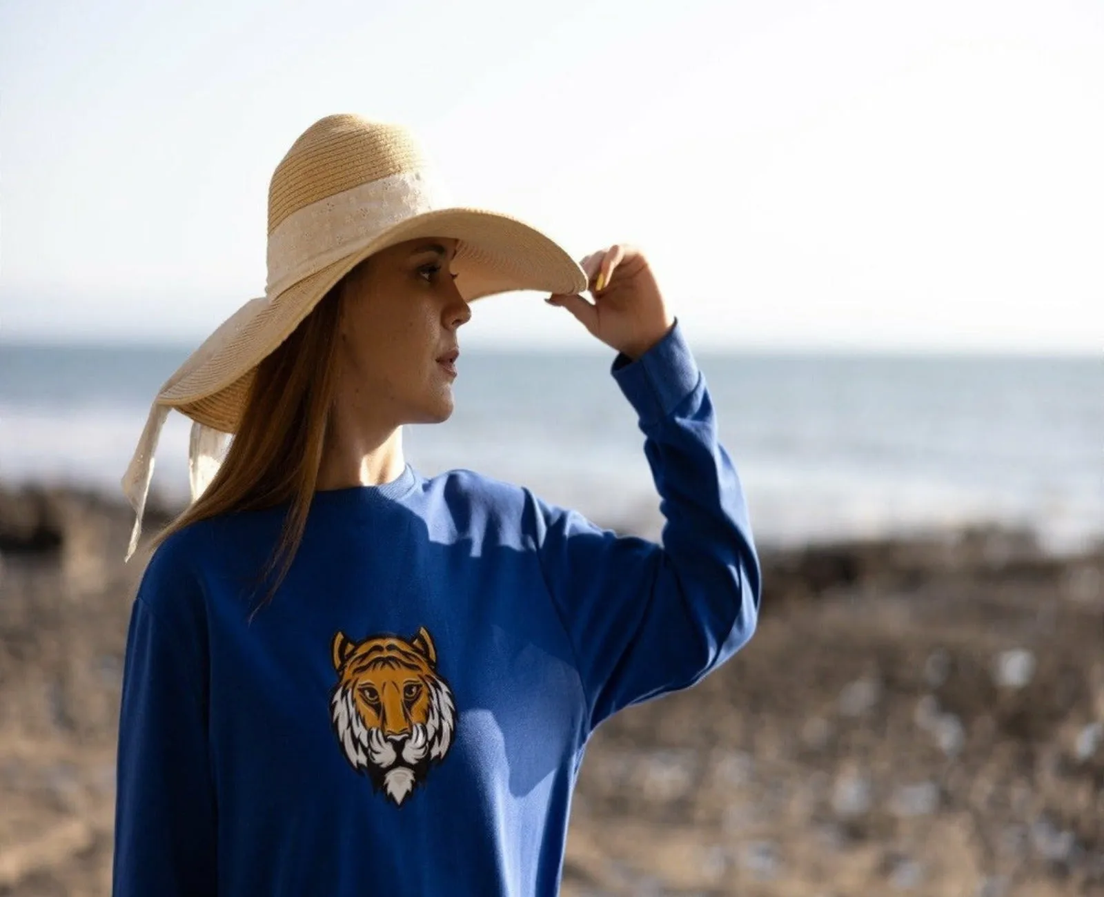 Azure Sweatshirt Dress