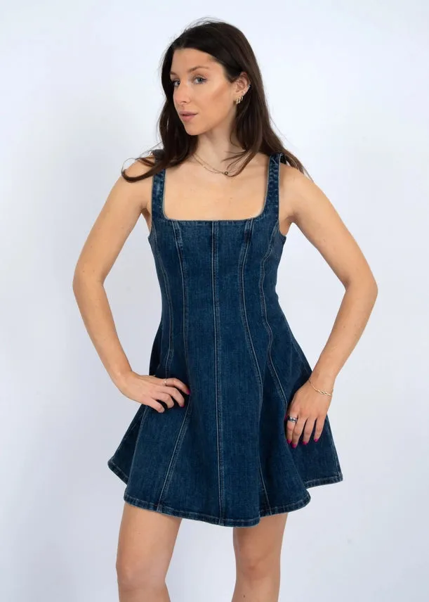 Franca Denim Mini Dress