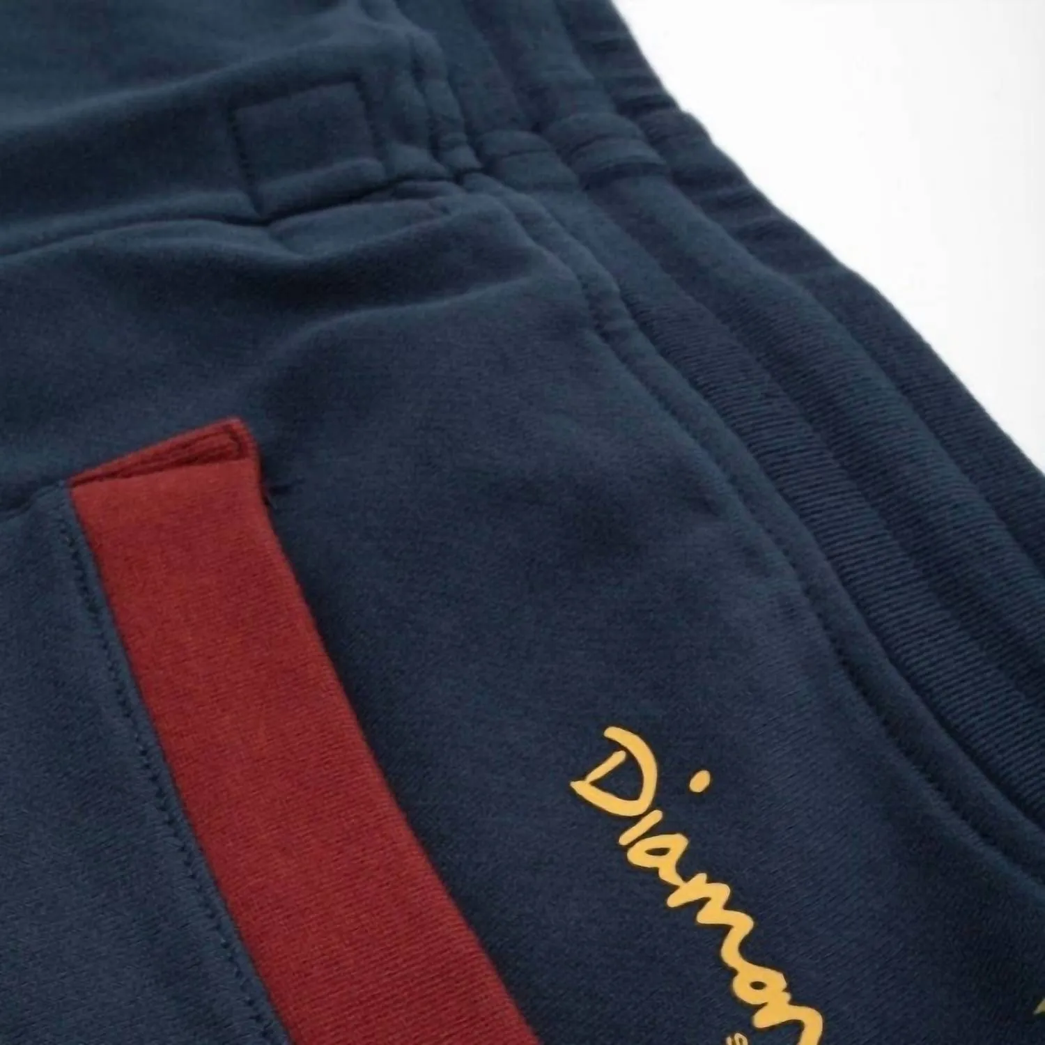 Men's Native Sweatpant In Navy