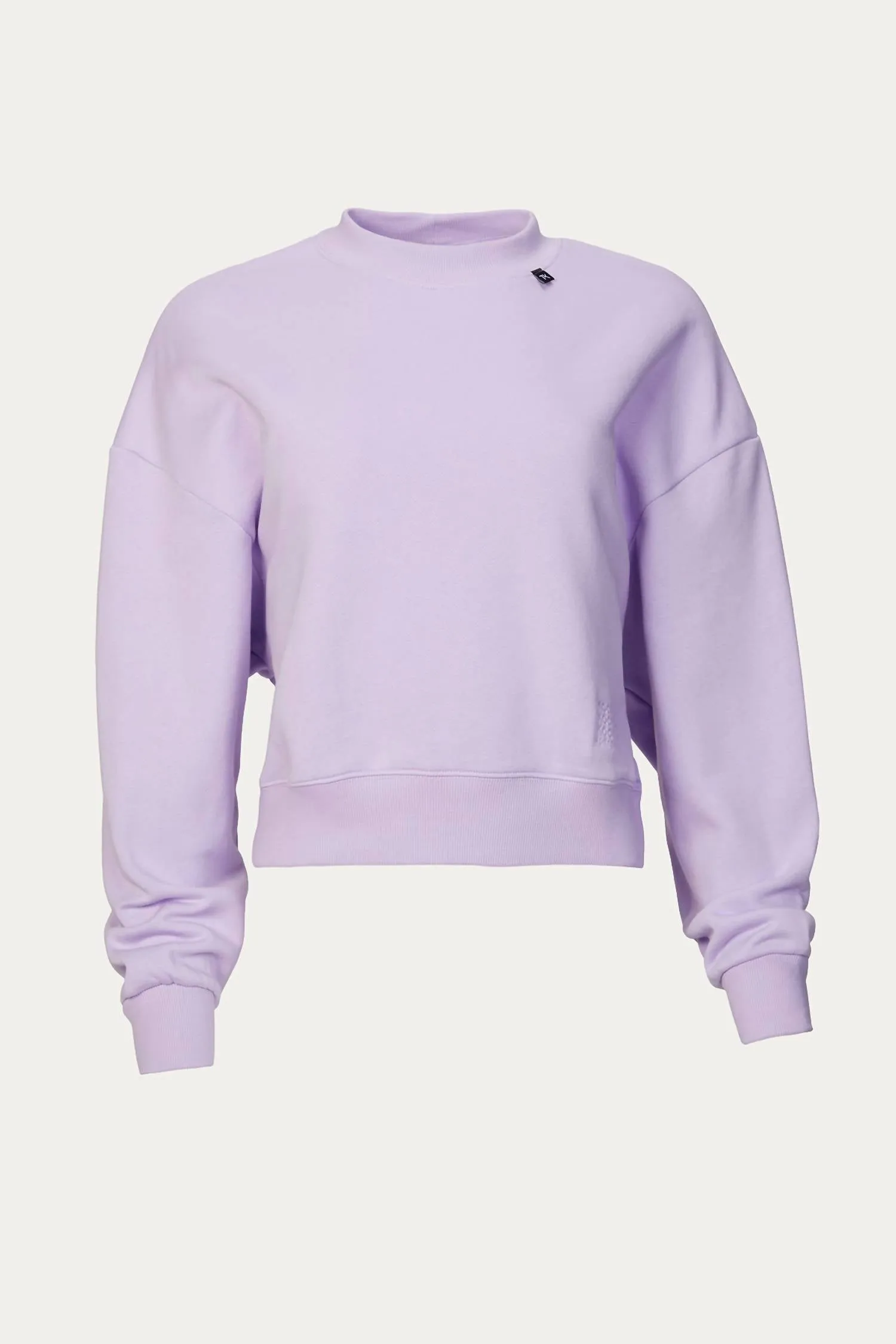 Sweatshirt With Logo In Purple